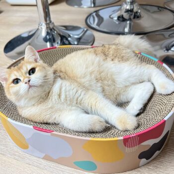 Cat Scratcher Lounge Bed - Oval Shape for Big Cat